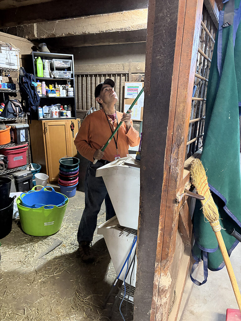 Bashir working at Leaning Birch Equestrian Center