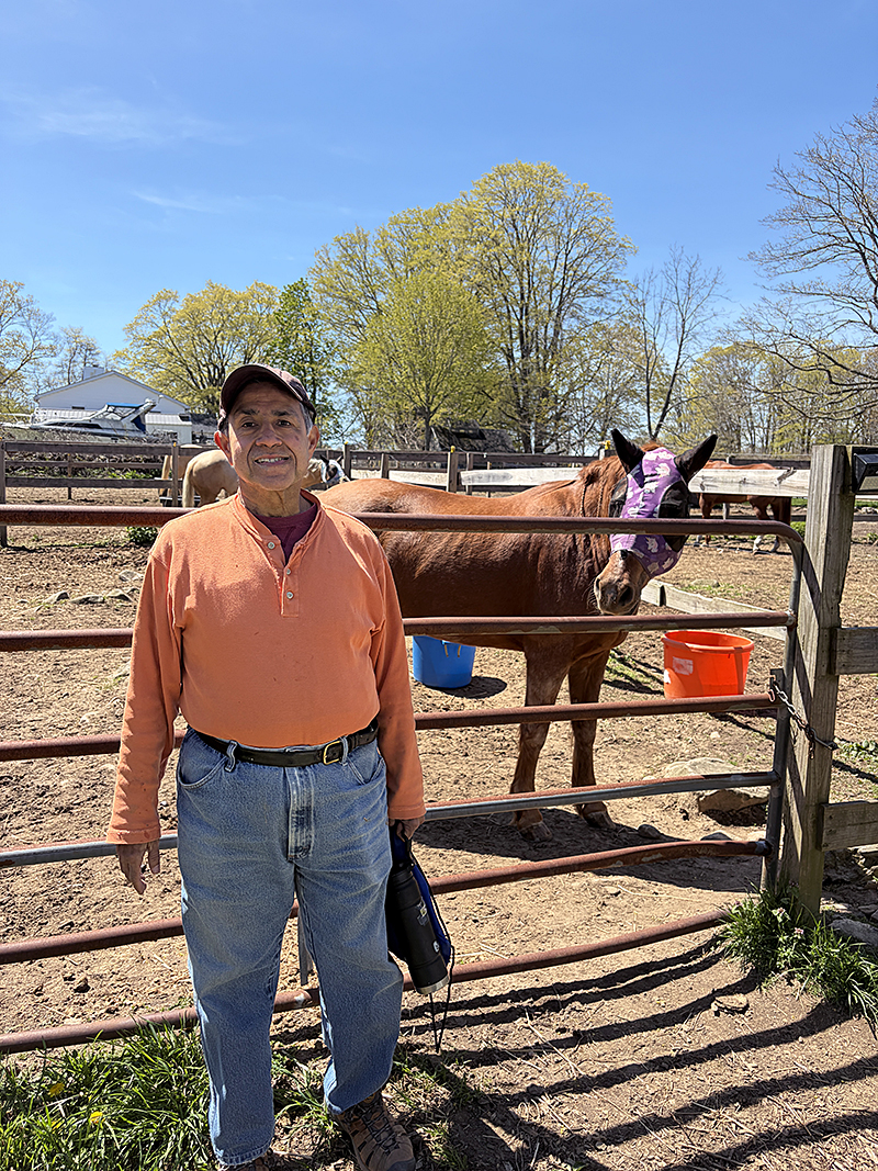 Bashir at Leaning Birch Equestrian Center